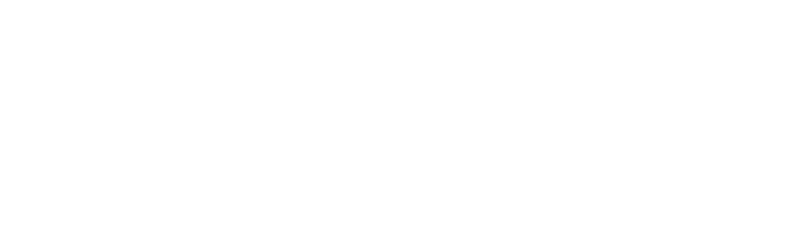 EAVISION